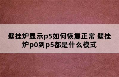 壁挂炉显示p5如何恢复正常 壁挂炉p0到p5都是什么模式